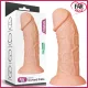 Lovetoy King-Sized Curved 25 Cm Kral Boy Dildo